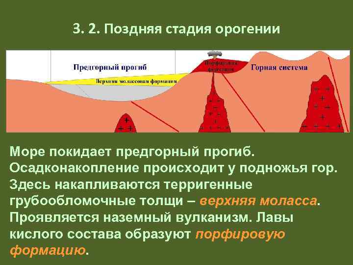   3. 2. Поздняя стадия орогении Море покидает предгорный прогиб. Осадконакопление происходит у