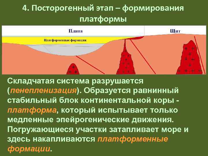   4. Посторогенный этап – формирования   платформы Складчатая система разрушается (пенепленизация).