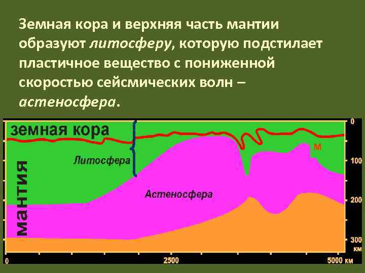 Земная кора и верхняя часть мантии образуют литосферу, которую подстилает пластичное вещество с пониженной