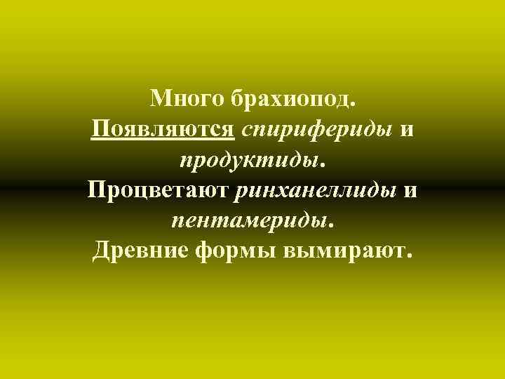 Много брахиопод. Появляются спирифериды и продуктиды. Процветают ринханеллиды и пентамериды. Много брахиопод. Появляются спирифериды и продуктиды. Процветают ринханеллиды и пентамериды.