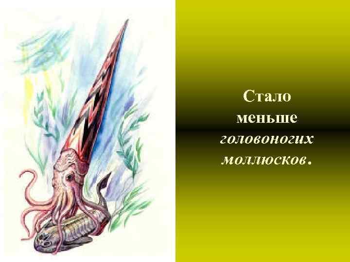 Стало меньше головоногих моллюсков. Стало меньше головоногих моллюсков.