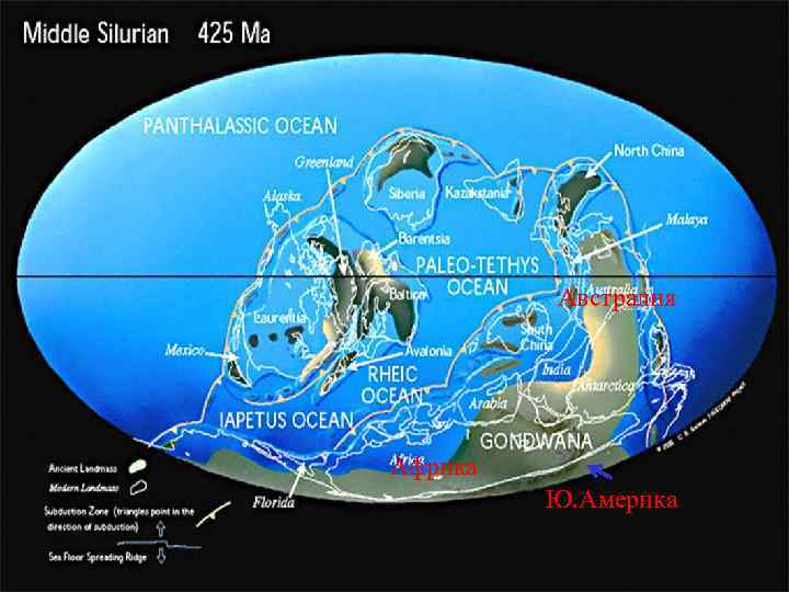 Австралия Африка Ю. Америка Австралия Африка Ю. Америка