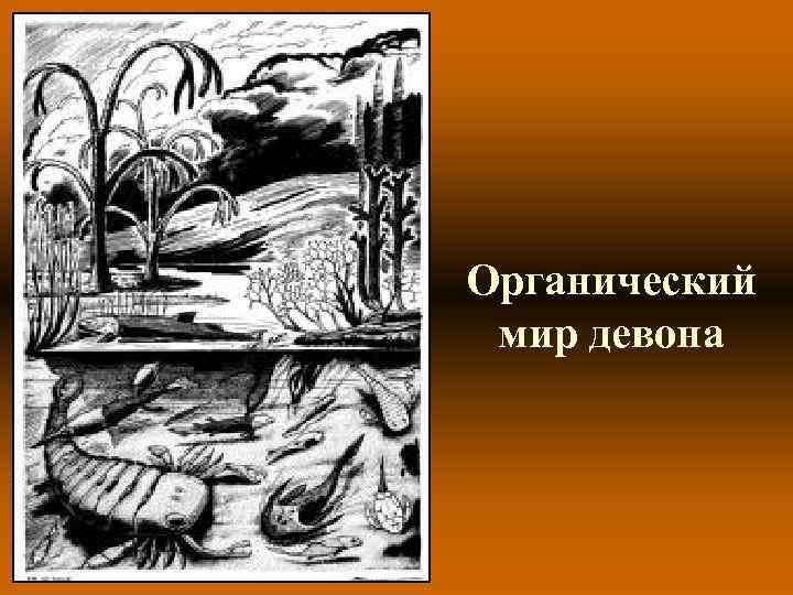 Органический мир девона Органический мир девона