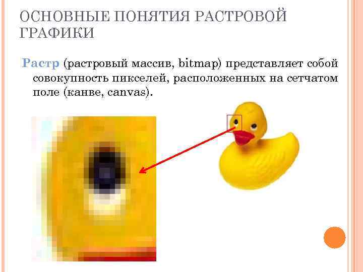 ОСНОВНЫЕ ПОНЯТИЯ РАСТРОВОЙ ГРАФИКИ Растр (растровый массив, bitmap) представляет собой совокупность пикселей, расположенных на