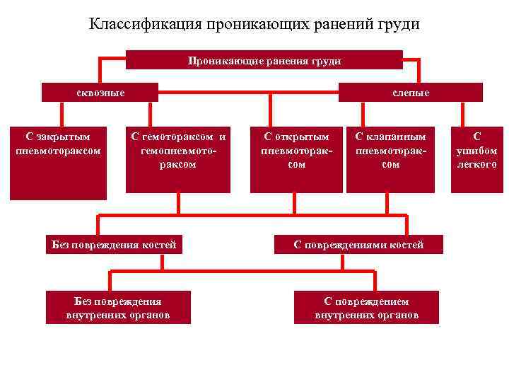 Классификация груди картинка