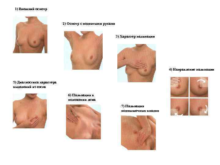  1) Внешний осмотр      2) Осмотр с поднятыми руками