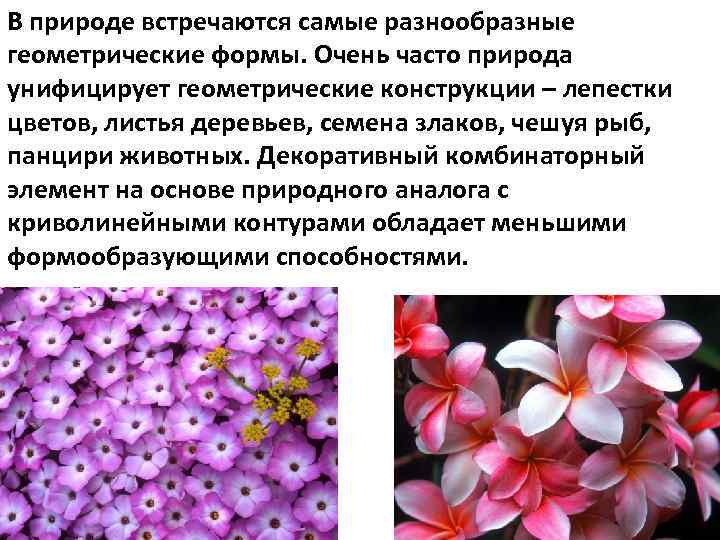 В природе встречаются самые разнообразные геометрические формы. Очень часто природа унифицирует геометрические конструкции –