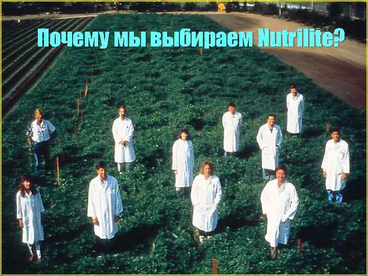 Почему мы выбираем Nutrilite? 