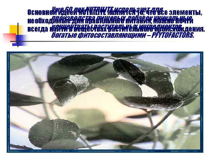   Уже 60 лет NUTRILITE использует для Основной идеей NUTRILITE является то, что