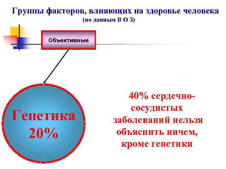 Группы факторов, влияющих на здоровье человека     (по данным В О