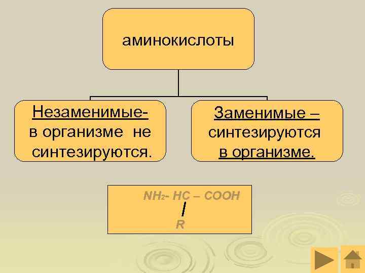 аминокислоты Незаменимые- Заменимые – в организме не аминокислоты Незаменимые- Заменимые – в организме не