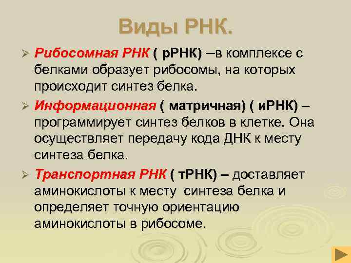 Виды РНК. Ø Рибосомная РНК ( р. РНК) –в комплексе с Виды РНК. Ø Рибосомная РНК ( р. РНК) –в комплексе с
