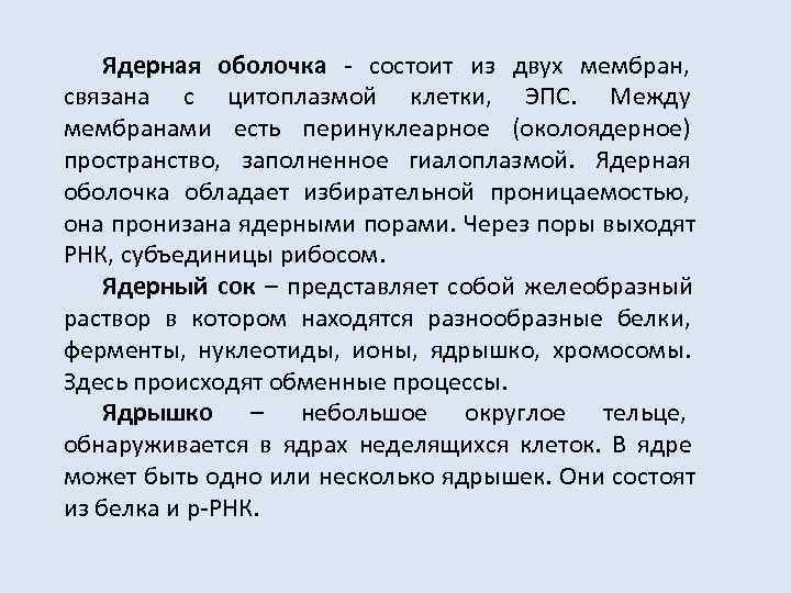   Ядерная оболочка  - состоит из двух мембран,  связана с цитоплазмой