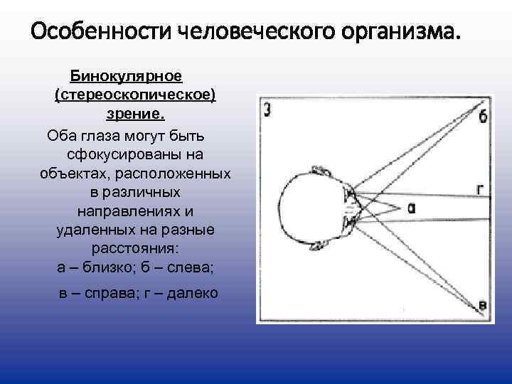 Особенности человеческого организма.  Бинокулярное  (стереоскопическое)  зрение. Оба глаза могут быть 