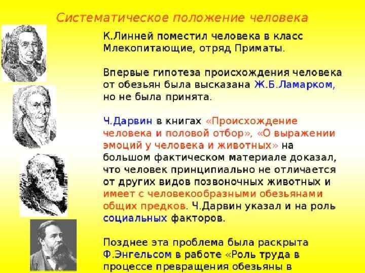 Для добавления текста  щёлкните мышью 