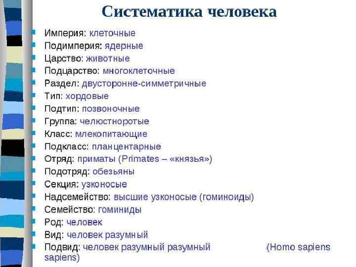 Для добавления текста  щёлкните мышью 