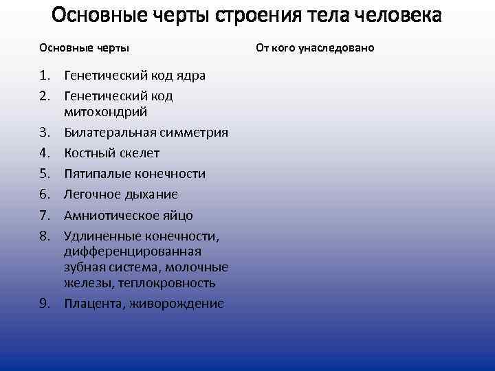  Основные черты строения тела человека Основные черты    От кого унаследовано