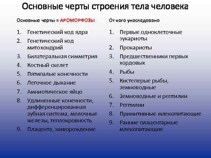  Основные черты строения тела человека Основные черты = АРОМОРФОЗЫ  От кого унаследовано