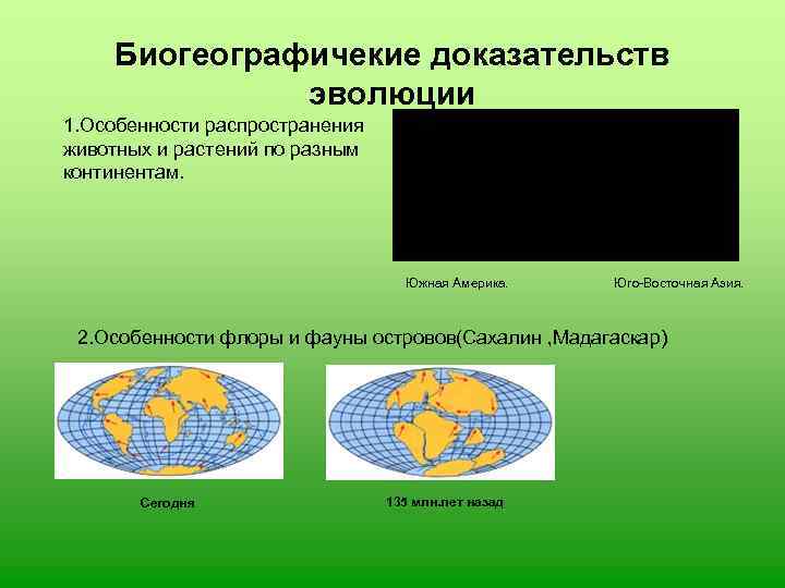 Подготовьте сообщение или мультимедийные презентации о доказательствах эволюции