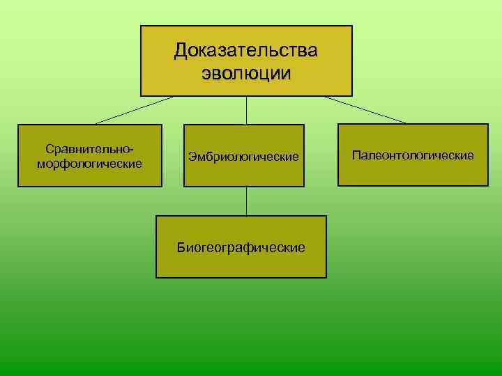    Доказательства     эволюции  Сравнительно-   