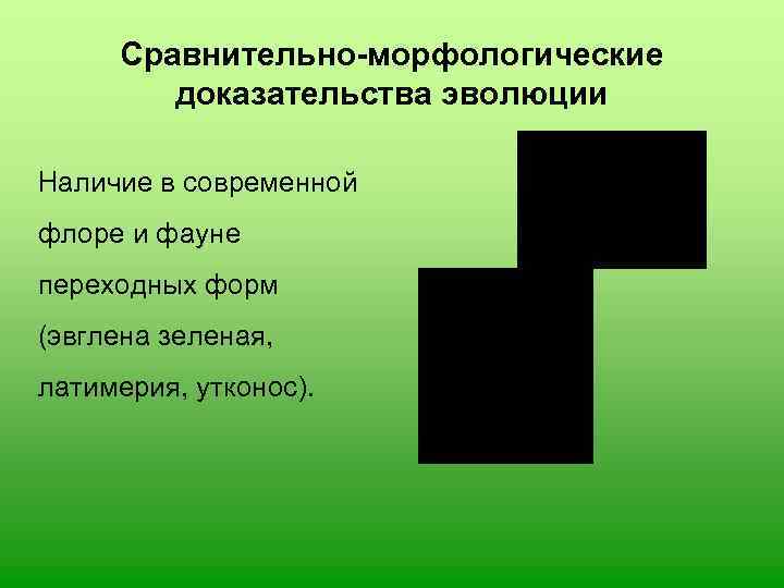  Сравнительно-морфологические   доказательства эволюции Наличие в современной флоре и фауне переходных форм