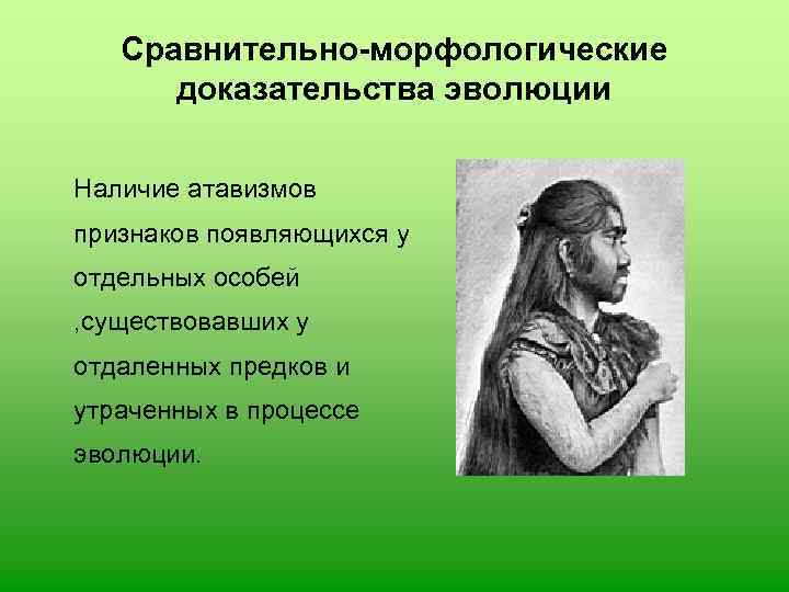   Сравнительно-морфологические  доказательства эволюции Наличие атавизмов признаков появляющихся у отдельных особей ,