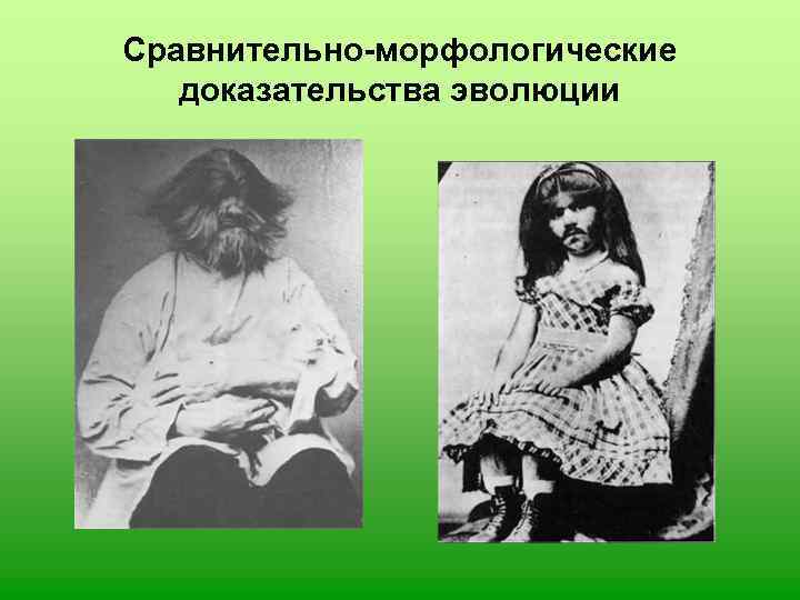 Сравнительно-морфологические  доказательства эволюции 