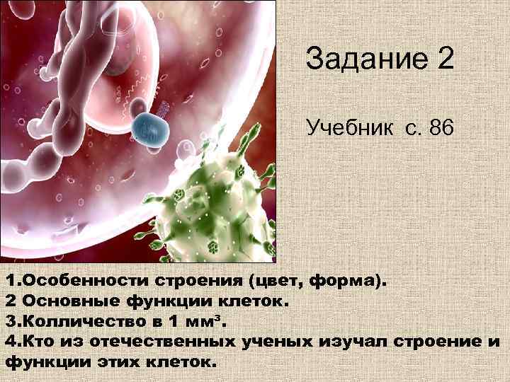       Задание 2     Учебник с.