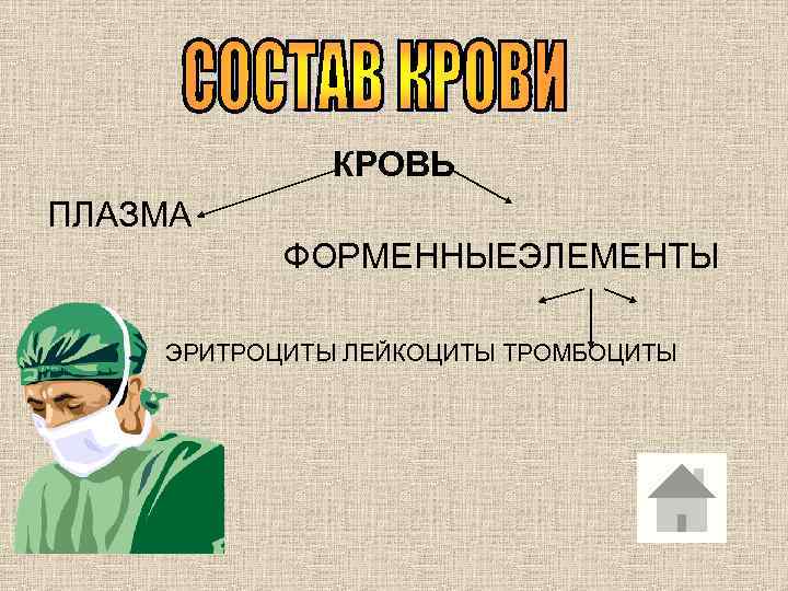    КРОВЬ ПЛАЗМА  ФОРМЕННЫЕЭЛЕМЕНТЫ ЭРИТРОЦИТЫ ЛЕЙКОЦИТЫ ТРОМБОЦИТЫ 