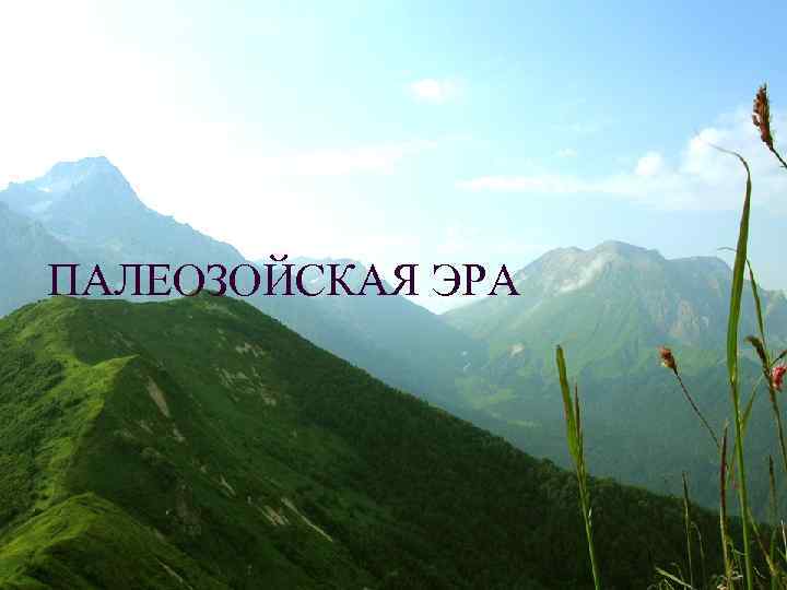 ПАЛЕОЗОЙСКАЯ ЭРА 
