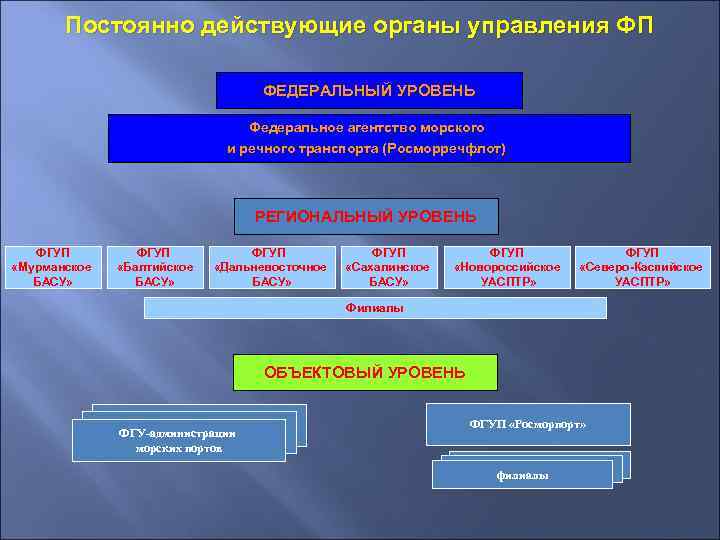   Постоянно действующие органы управления ФП      ФЕДЕРАЛЬНЫЙ УРОВЕНЬ
