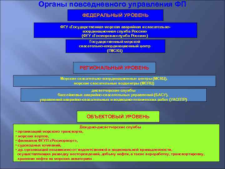   Органы повседневного управления ФП       ФЕДЕРАЛЬНЫЙ УРОВЕНЬ