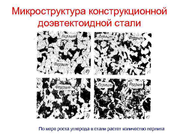 Микроструктура какого сплава представлена на рисунке