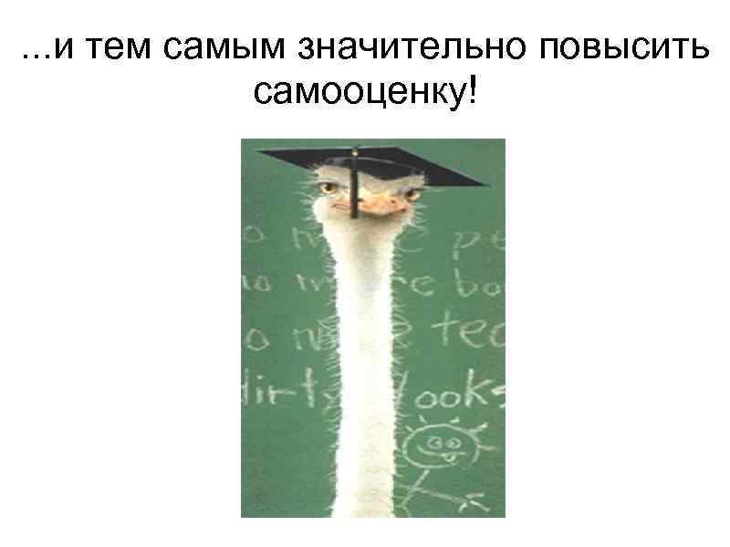 . . . и тем самым значительно повысить    самооценку!  