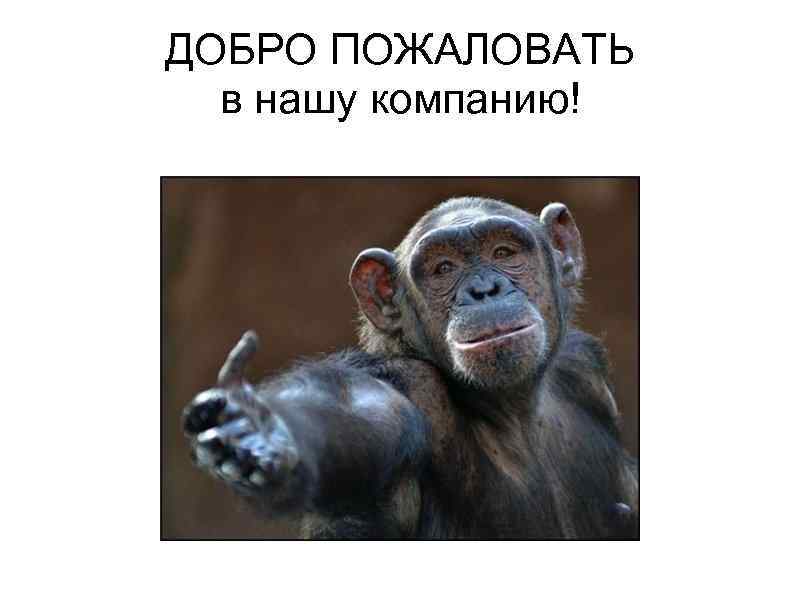   ДОБРО ПОЖАЛОВАТЬ  в нашу компанию!  