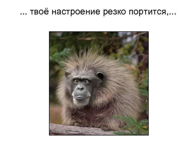   . . . твоё настроение резко портится, . . . 