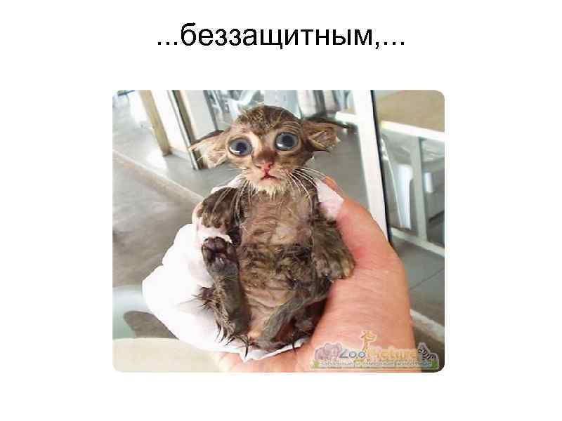   . . . беззащитным, . . . 