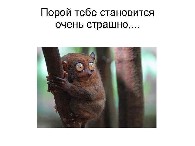   Порой тебе становится  очень страшно, . . .  