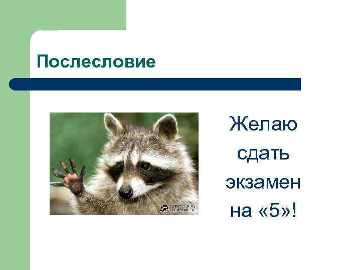 Послесловие Желаю сдать экзамен Послесловие Желаю сдать экзамен