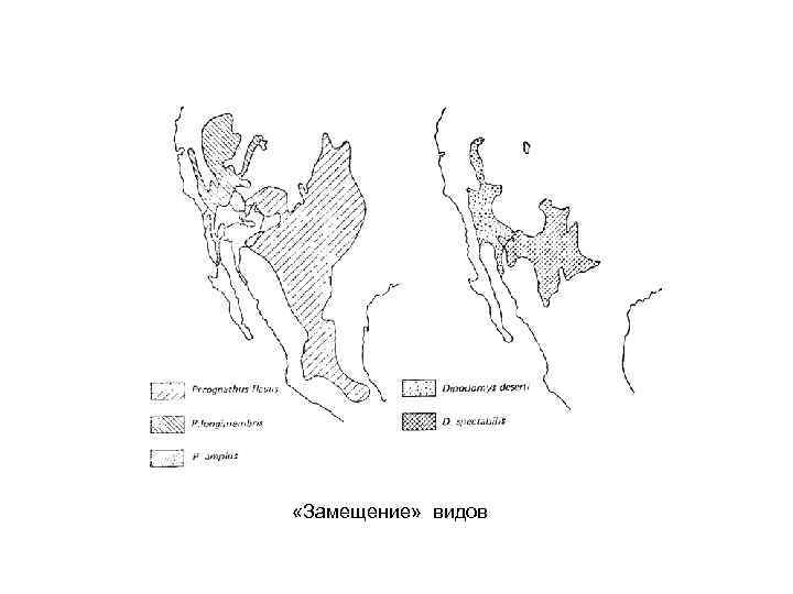  «Замещение» видов 