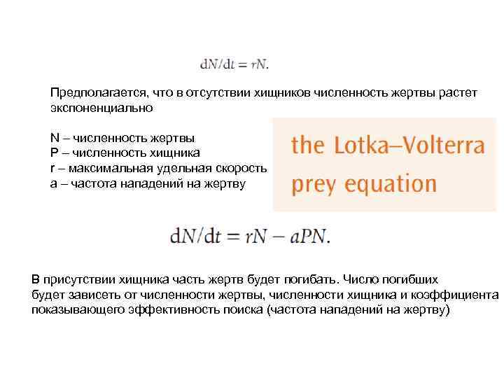  Предполагается, что в отсутствии хищников численность жертвы растет  экспоненциально  N –
