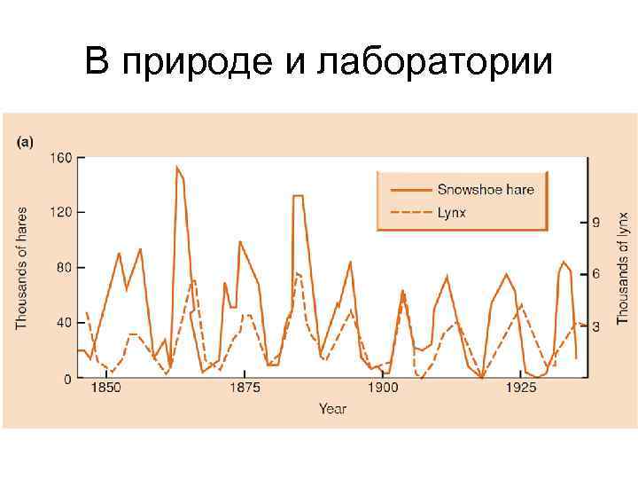 В природе и лаборатории 