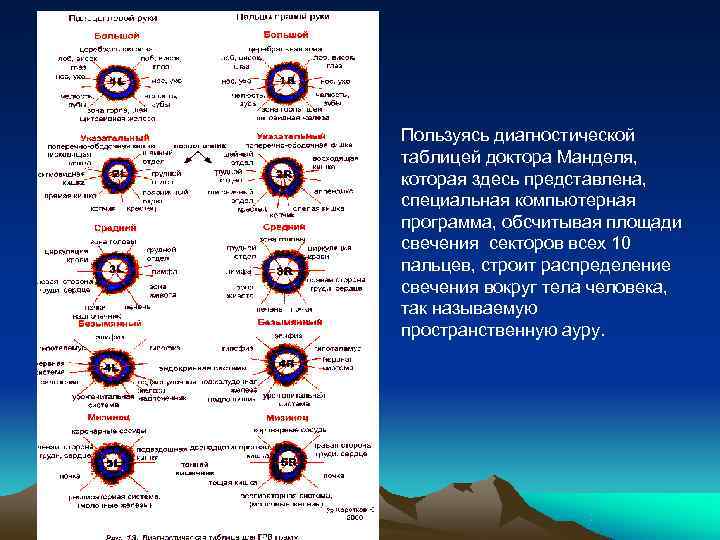 Пользуясь диагностической таблицей доктора Манделя, которая здесь представлена, специальная компьютерная программа, обсчитывая площади свечения