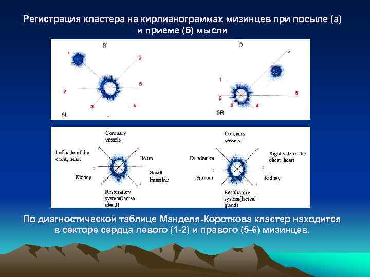 Регистрация кластера на кирлианограммах мизинцев при посыле (а)     и приеме