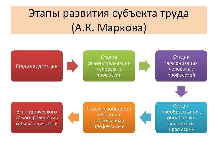 Этапы становления профессионала