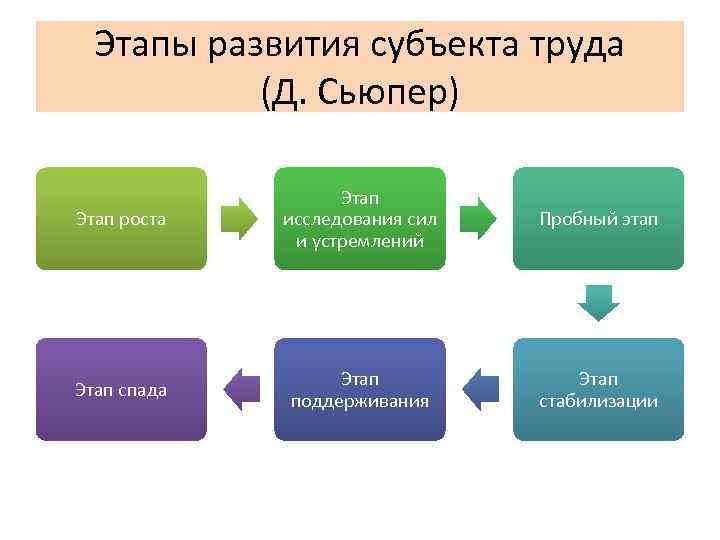 Этапы ростов