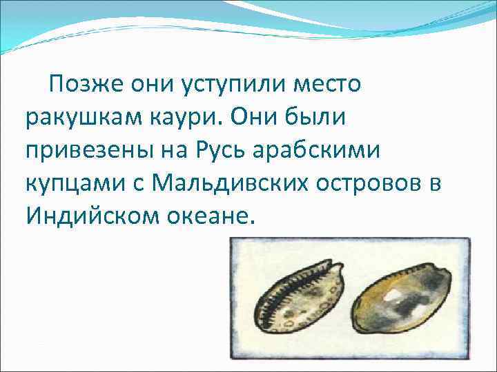 Позже они уступили место ракушкам каури. Они были привезены на Русь арабскими купцами Позже они уступили место ракушкам каури. Они были привезены на Русь арабскими купцами
