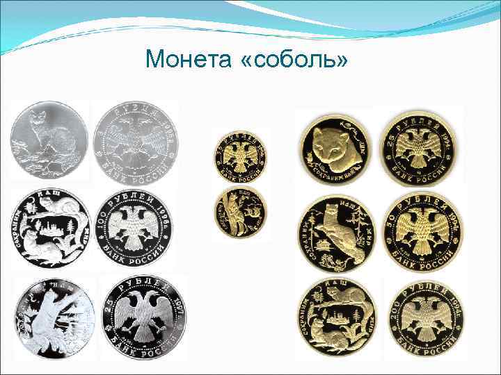 Монета «соболь» Монета «соболь»