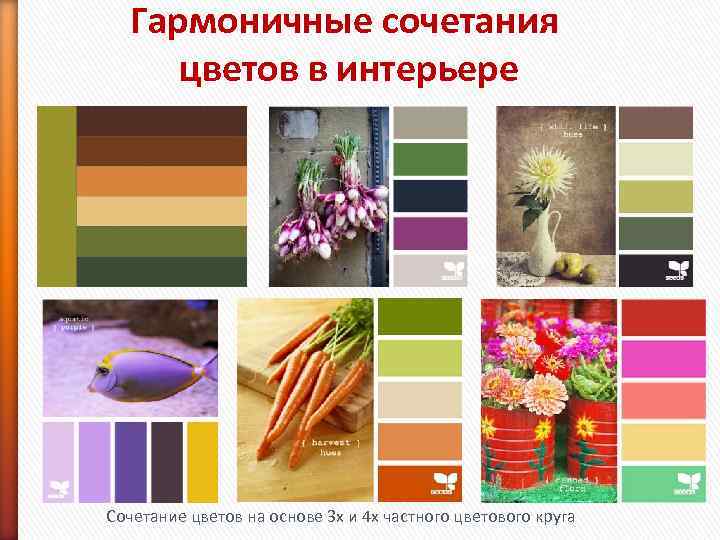   Гармоничные сочетания  цветов в интерьере Сочетание цветов на основе 3 х