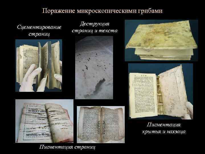 Поражение микроскопическими грибами Сцементирование страниц Деструкция страниц и текста Пигментация крытья и нахзаца Пигментация